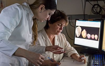 Two researchers working together